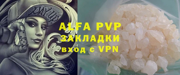 молекула духа Осташков
