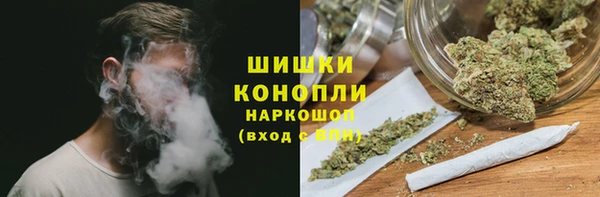 соль ск Гусиноозёрск