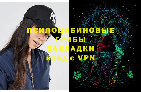 ПСИЛОЦИБИНОВЫЕ ГРИБЫ Остров