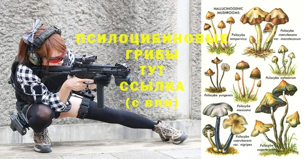 экстази Абаза